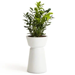 Cache-pot En Fibre De Ciment, Calvos