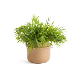 Cache-pot Céramique Ø15 Cm, Filipio -Ameublement De Maison 1bc6b1525caabc9e9c82bd3071734c93