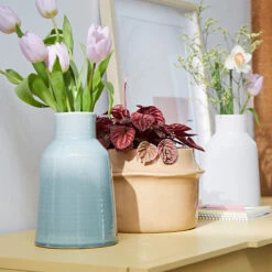 Cache-pot En Céramique Ø25 Cm, Filipio -Ameublement De Maison 1cea30b388a11779b3af82dcf36f0851