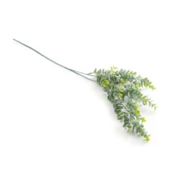 Bouquet D'eucalyptus Artificiel, Kenia