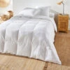 Couette Hiver 100% Duvet Antiacariens