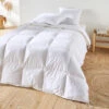 Couette 4 Saisons 50% Duvet -Ameublement De Maison 4c37df1f3d09831b9dee16c4ed1d88b1 1