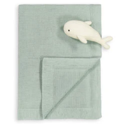 Ensemble 2 Pièces Cape De Bain Et Gant Coton Bio -Ameublement De Maison 4f27262a91eff3e3d67b219fd4d43045 2