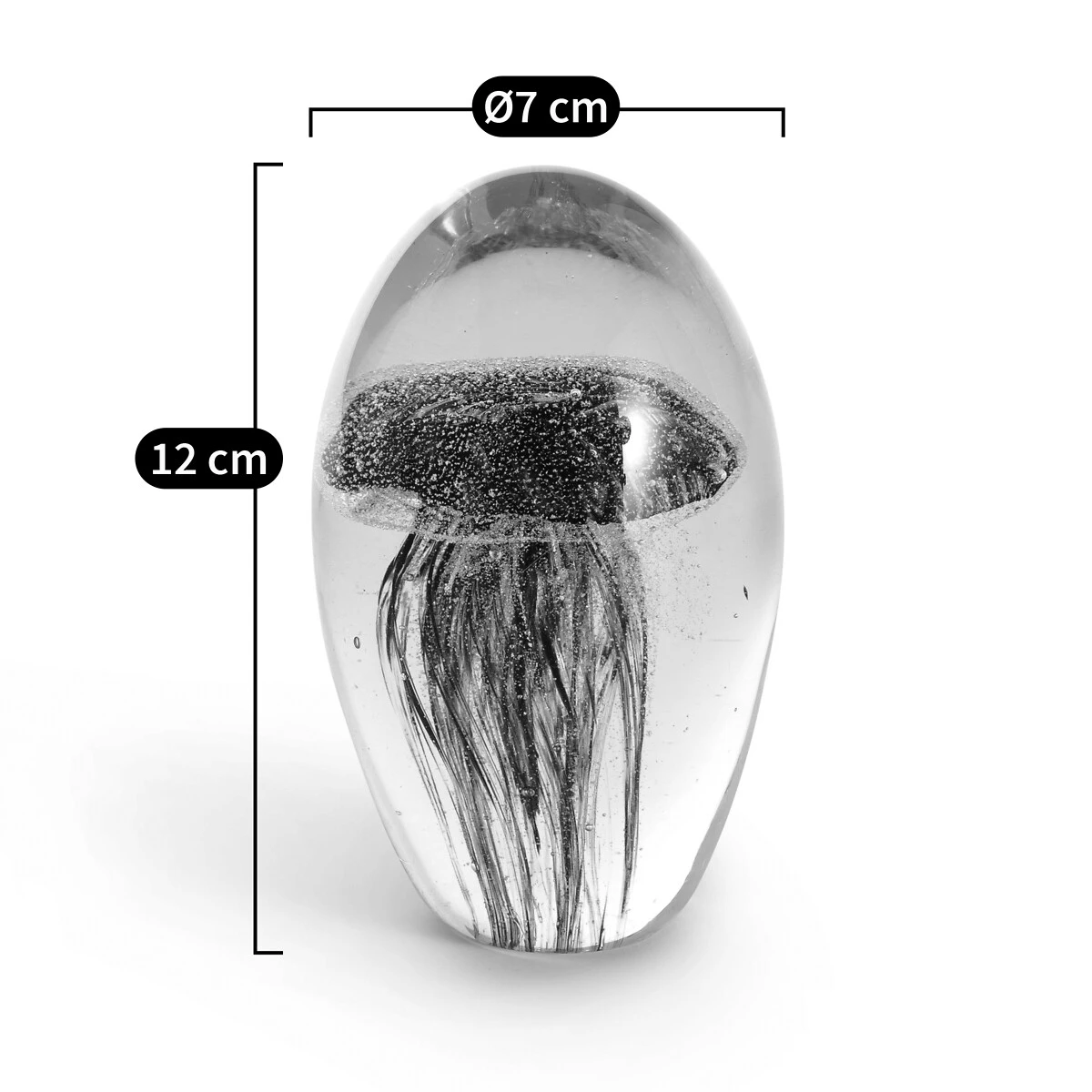 Sulfure H18 Cm, Medusa 11 Sulfure H18 Cm, Medusa – Image 9