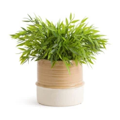 Cache-pot En Céramique émaillée Ø15 Cm, Malino -Ameublement De Maison 70cb8001138a2780f3d7a4728f799cce