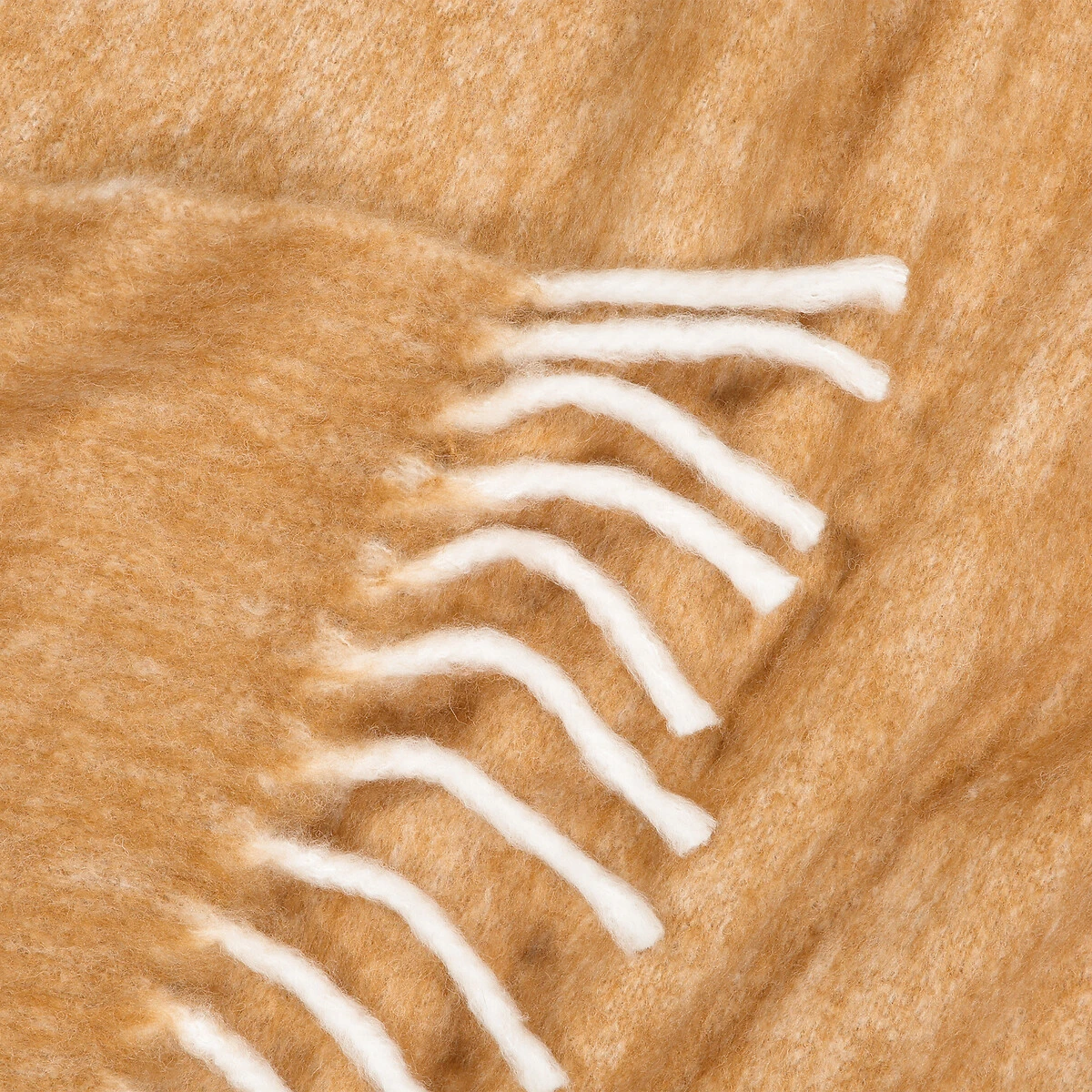 Plaid Chaud, Lichen 5 Plaid Chaud, Lichen â Image 3