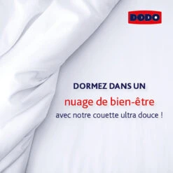 DODO Couette LEGERE - Douce-Anti-Acariens -Ameublement De Maison 90302d75b892c80700d8ee8601734c92 1