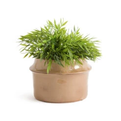 Cache-pot En Céramique Ø25 Cm, Filipio -Ameublement De Maison a3a2178dba88e6ad7f74dd633a5d4300
