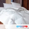 Pyrenex Couette 30% Véritable Duvet De Canard -Ameublement De Maison a422f6076fe4c7f91a9efda7b6fe27bb 1