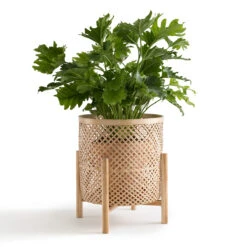 Cache-pot Sur Pied En Bambou Ø40 Cm, Bambu