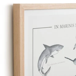 Affiche Encadrée, Animaux Marins, Baleia -Ameublement De Maison b6e54b047e8b0ef9c4b981d096fc1d0f