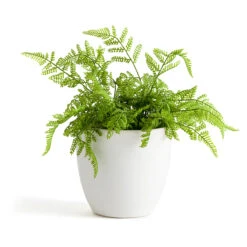 Cache-pot En Céramique émaillée Ø17 Cm, Tipoca -Ameublement De Maison e424c7600b88b3c2760a2b3aca6505ab